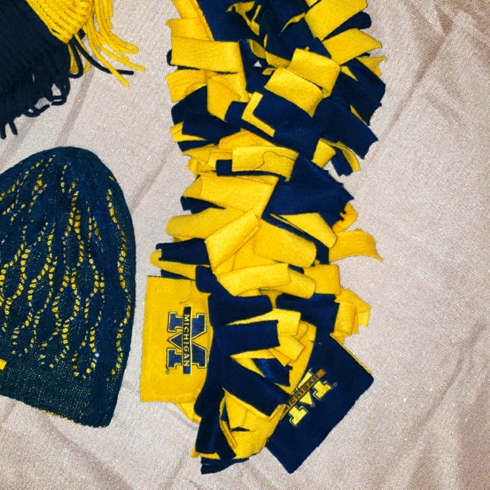 ππ University Of Michigan Wolverines Fan Bundle - Picture 3 of 10